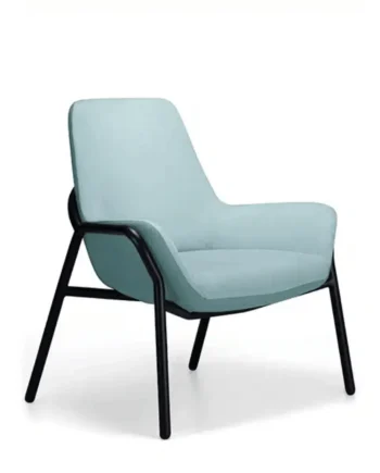 ARCANA Bariatric Chair